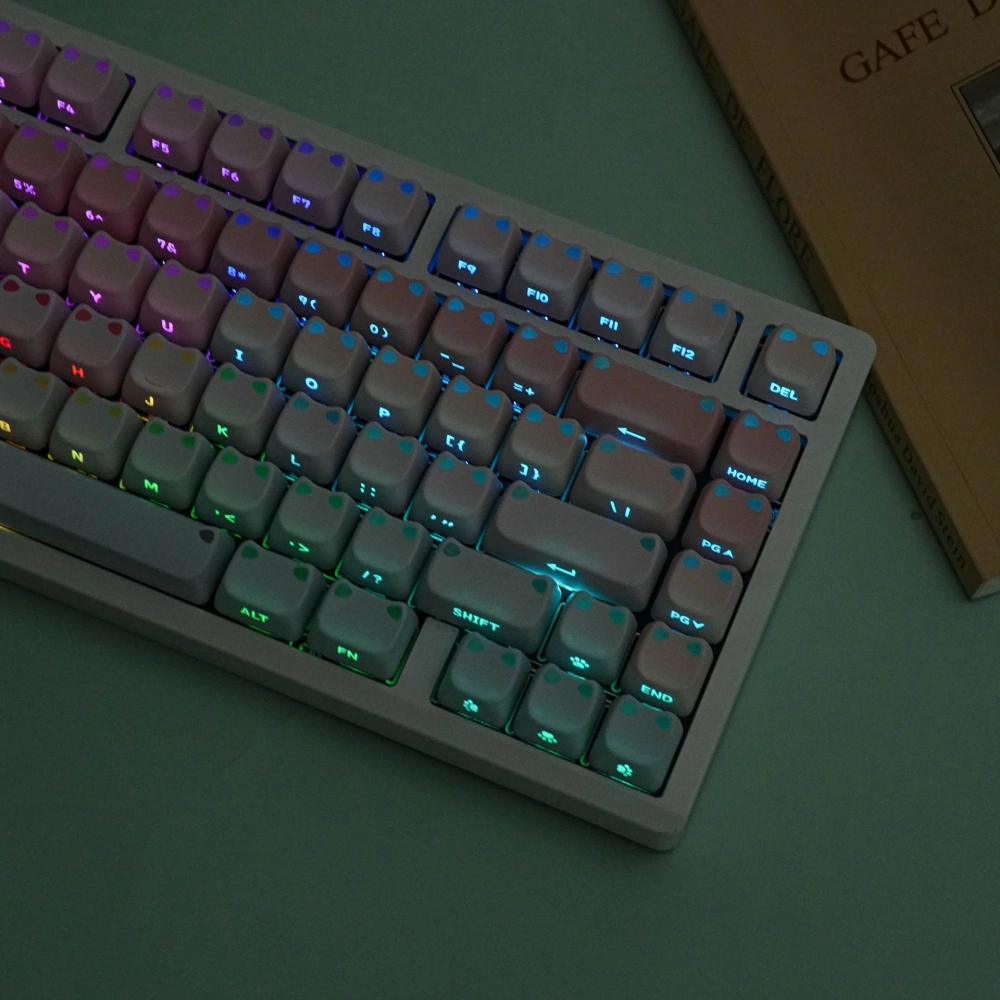 RGB-lit keyboard with pink-blue gradient shine-through keycaps